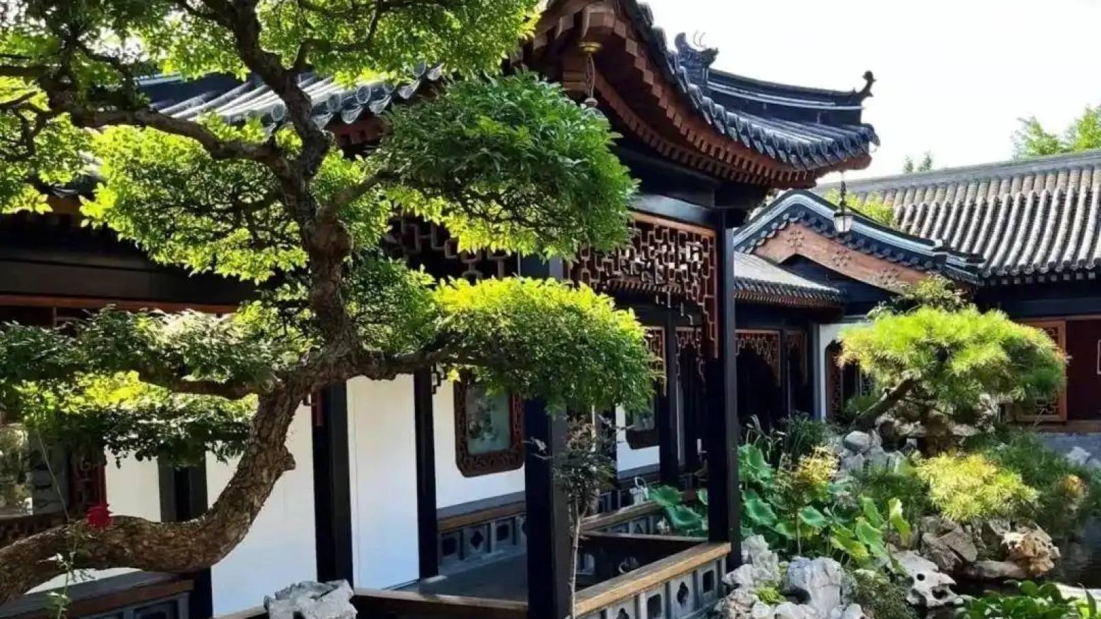必一·运动 关于园林绿化栏目配图